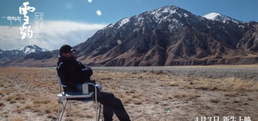 探索藏语电影新境界：万玛才旦导演的《雪豹》即将上映缩略图