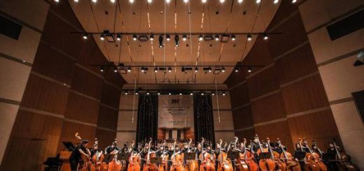 来青岛嗨！低音提琴艺术节，2024年等你来感受魅力！缩略图