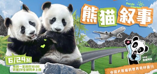 《熊猫故事》百度云网盘完整下载【HD】高清阿里云盘免费资源缩略图